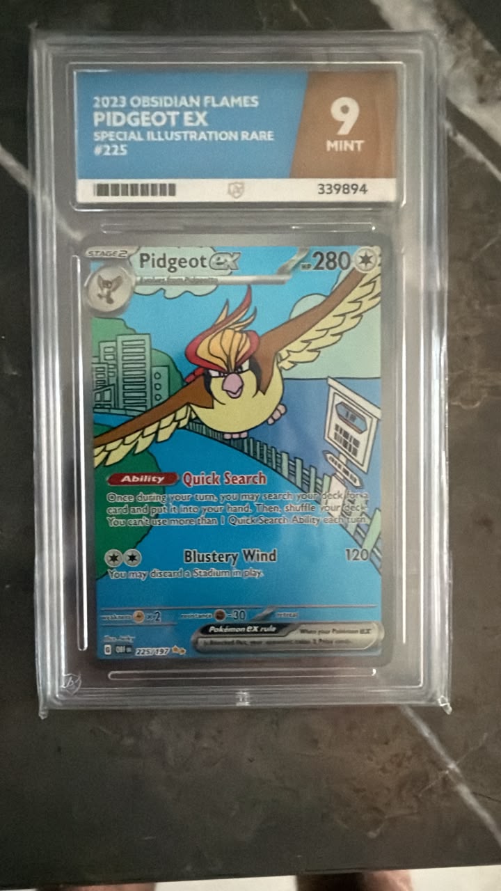 A graded 2023 Obsidian Flames Pidgeot EX Special Illustration Rare trading card, graded 9 Mint by PSA, inside a clear plastic protective slab, placed on a dark marble surface.