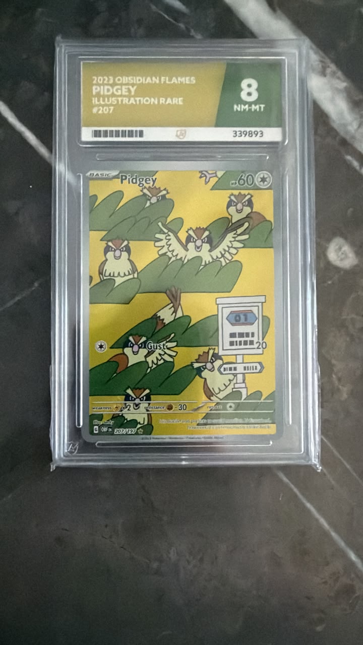 A graded Pokémon TCG card in a clear plastic slab. The card is from the 2013 Origins Flames set, featuring Pidgey illustration artwork on a yellow background, and is graded an 8 NM-MT by BMG.